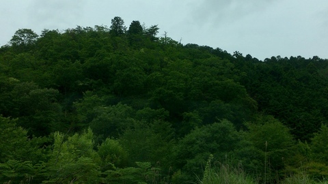 49A967C1-2D4B-473C-A3A6-737211E2253E.jpeg