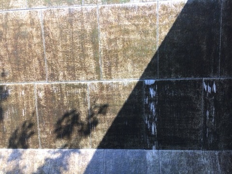 82C37268-5948-4647-95FE-09FCCEF4CC41.jpeg