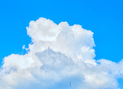 9AB90AC1-CF16-42EC-AD44-348A8EE6FEC6.jpeg
